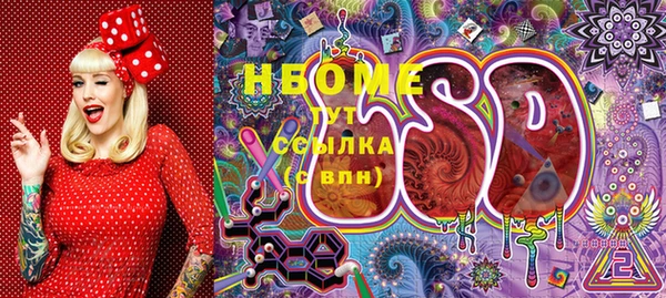 шишки Богородицк